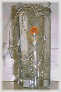 Alicia Reeves ($10.00)