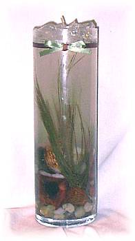 13.5" cylinder; $40.00