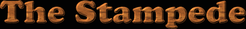 Stampede Dance Hall & Saloon